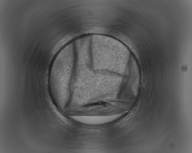 X0000090930437200708271047