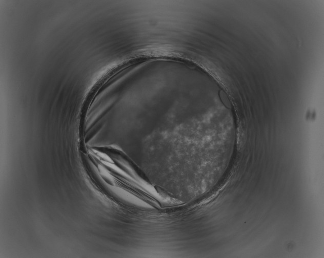 X0000090930438200708271047