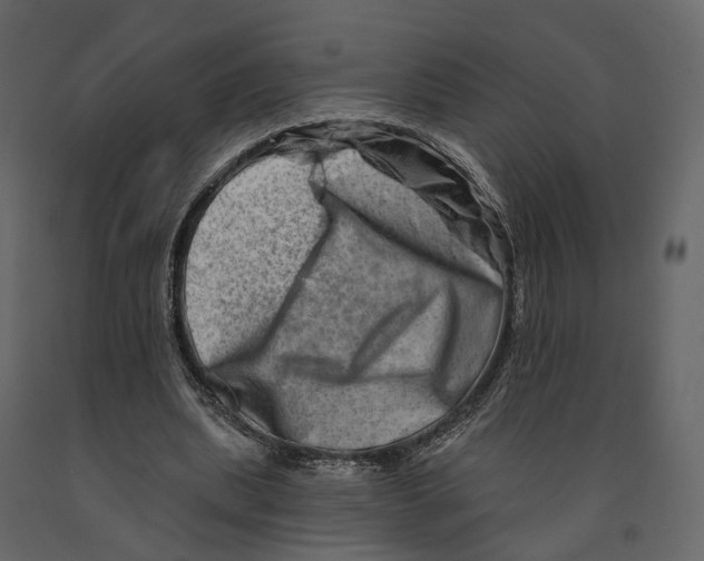 X0000090930439200708271047