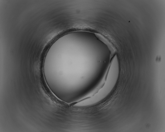 X0000090930440200708271047