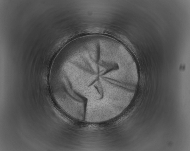 X0000090930441200708271048