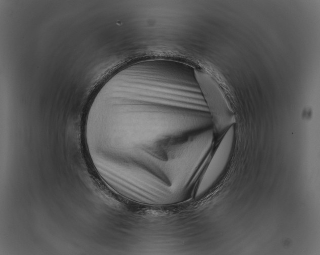 X0000090930442200708271048