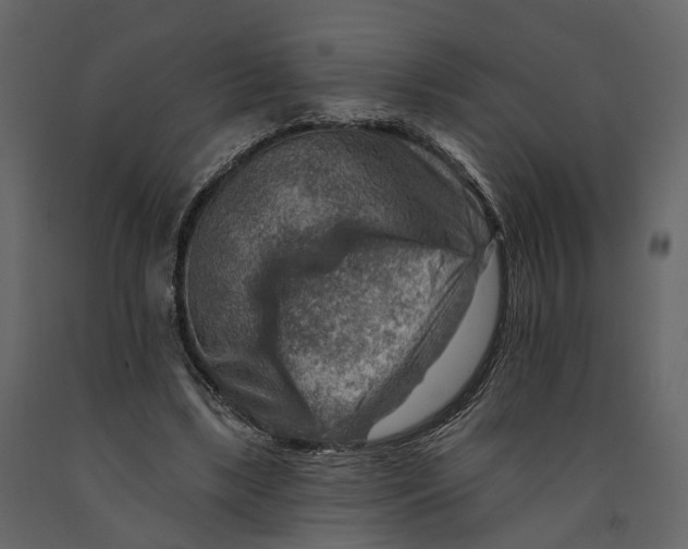 X0000090930443200708271048