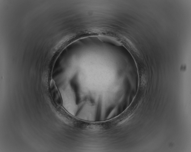 X0000090930444200708271048