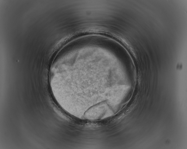 X0000090930445200708271048