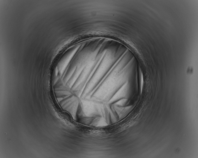 X0000090930446200708271048