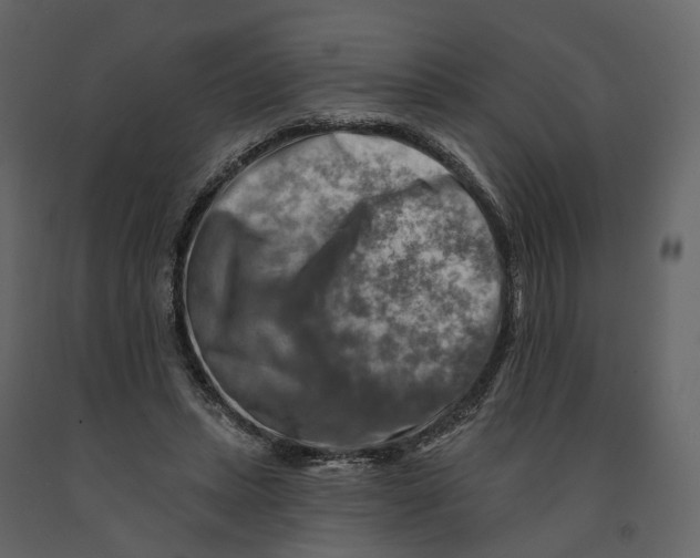 X0000090930447200708271048