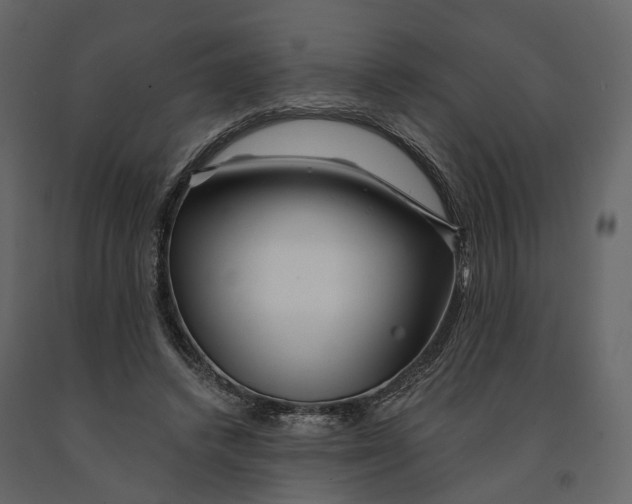 X0000090930448200708271048