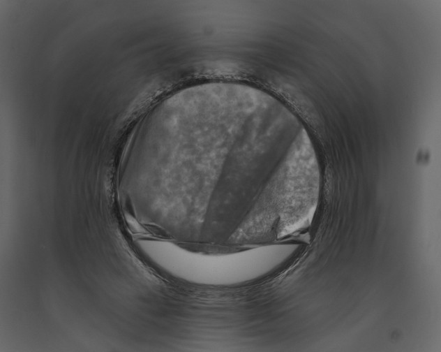 X0000090930449200708271048