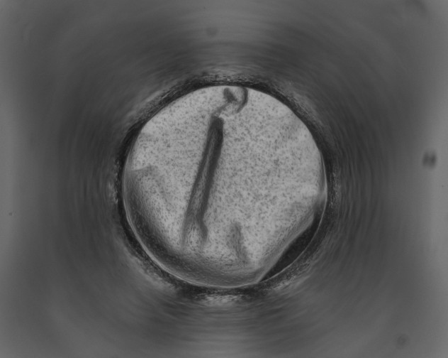 X0000090930450200708271048