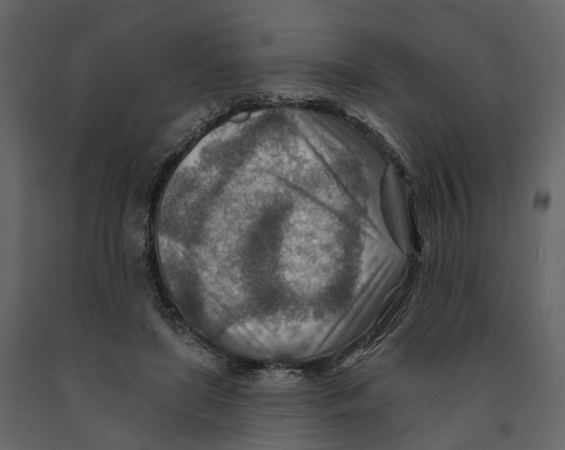 X0000090930451200708271048