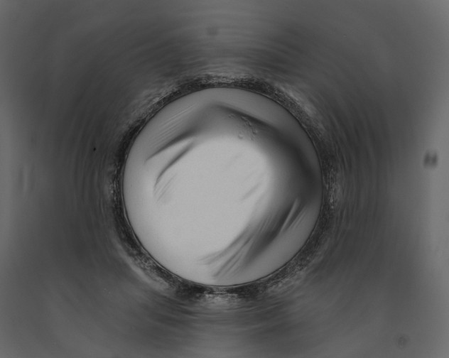 X0000090930455200708271048