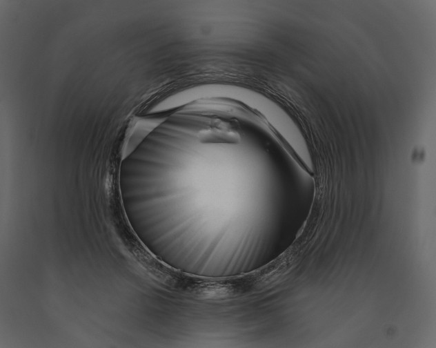 X0000090930456200708271048