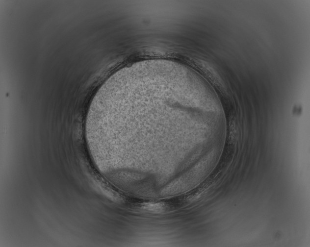 X0000090930457200708271048