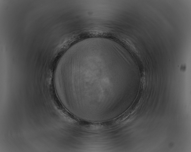 X0000090930458200708271048