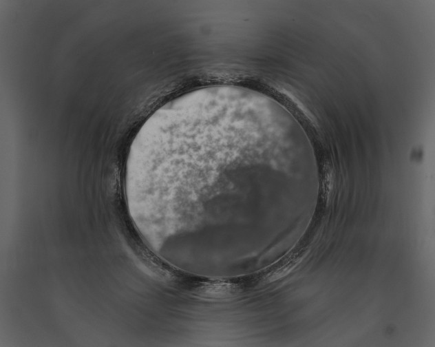 X0000090930459200708271048