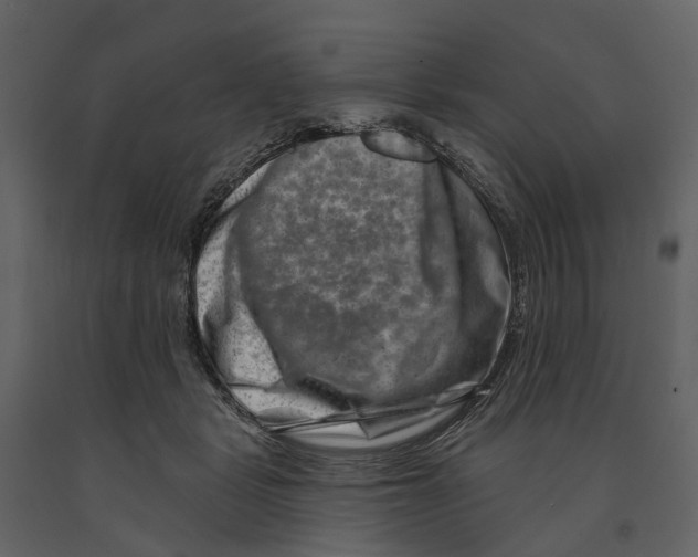 X0000090930461200708271048