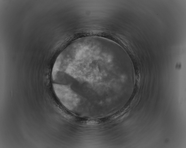 X0000090930462200708271048