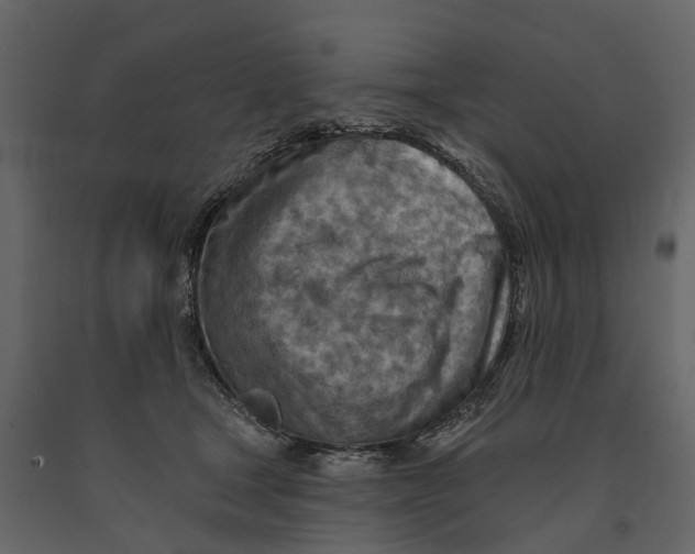 X0000090930465200708271048