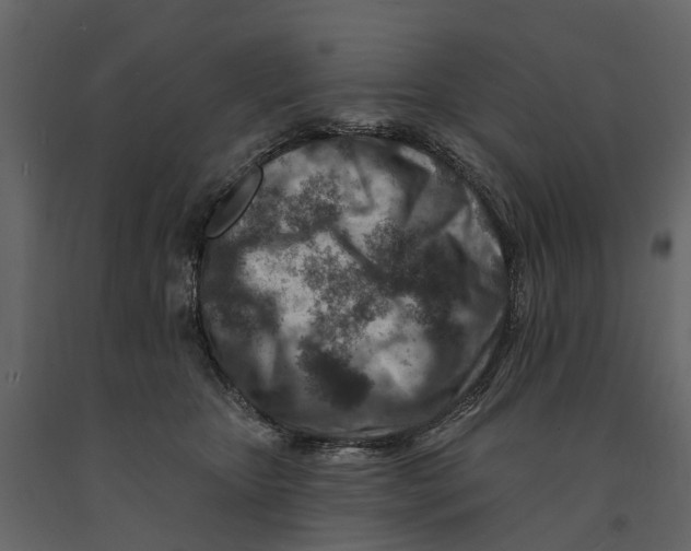 X0000090930467200708271048