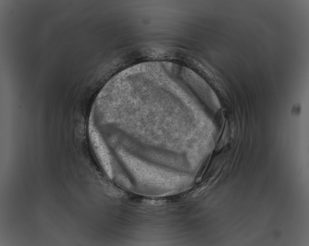 X0000090930469200708271048