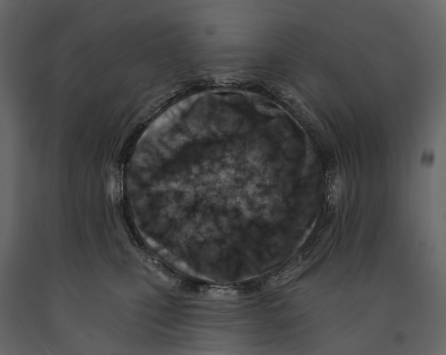 X0000090930471200708271048