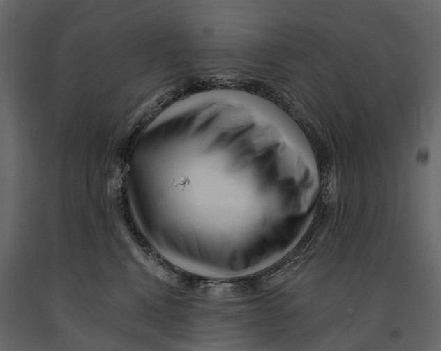 X0000090930472200708271048