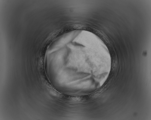 X0000090930473200708271048