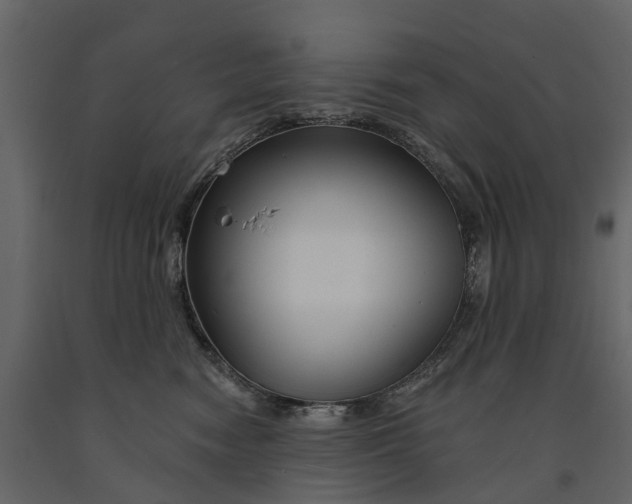 X0000090930474200708271048