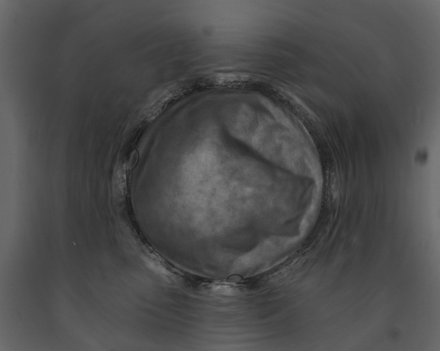 X0000090930475200708271048