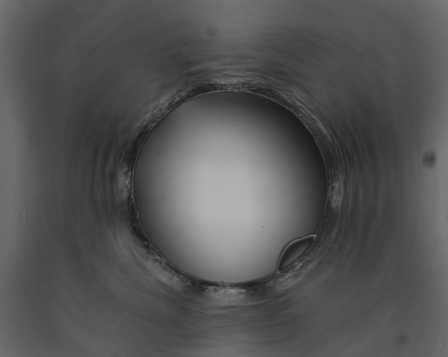 X0000090930476200708271048