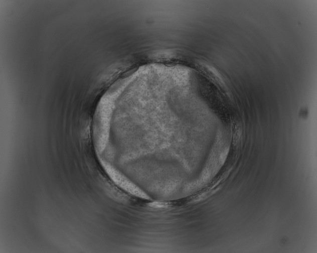 X0000090930477200708271048