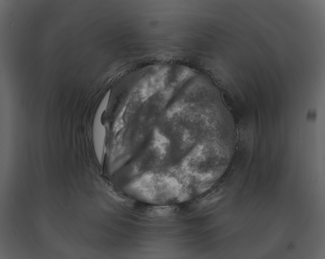 X0000090930479200708271048