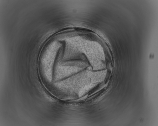 X0000090930481200708271047