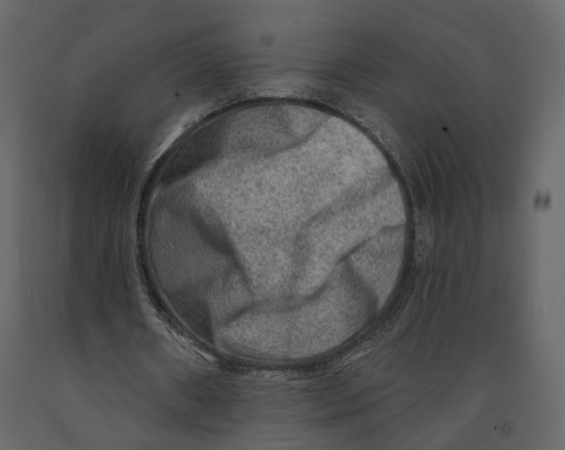 X0000090930482200708271047