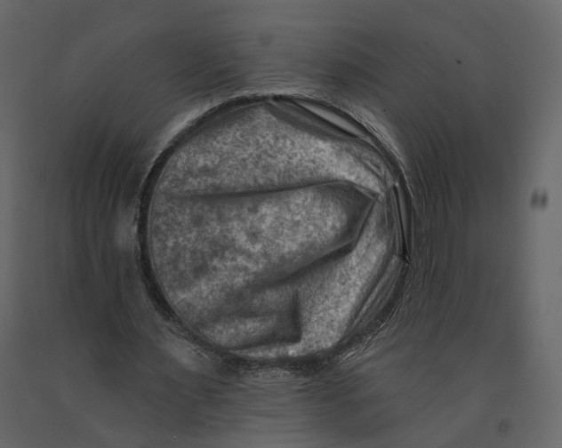 X0000090930483200708271047