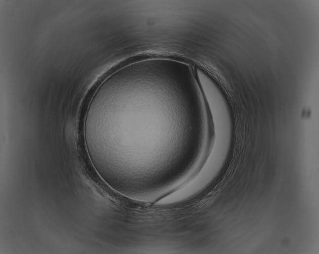 X0000090930484200708271047