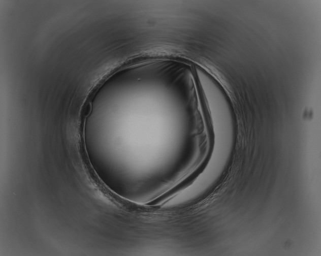 X0000090930485200708271047