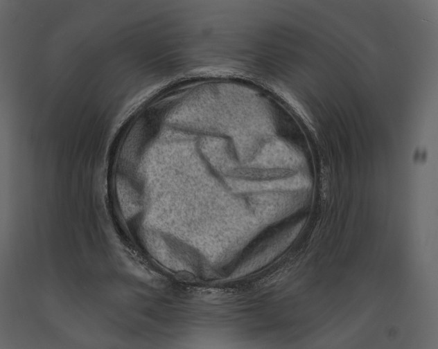 X0000090930486200708271047