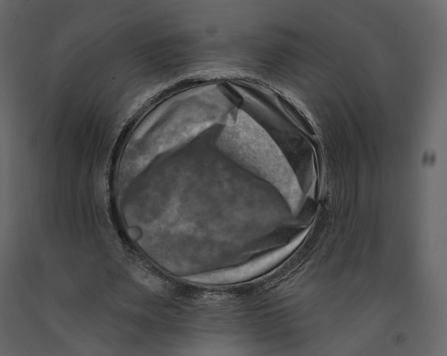 X0000090930487200708271047