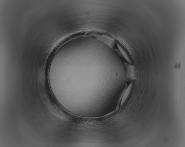 X0000090930488200708271047