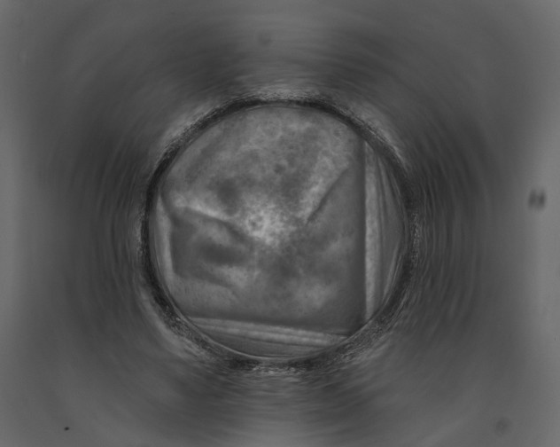 X0000090930491200708271047