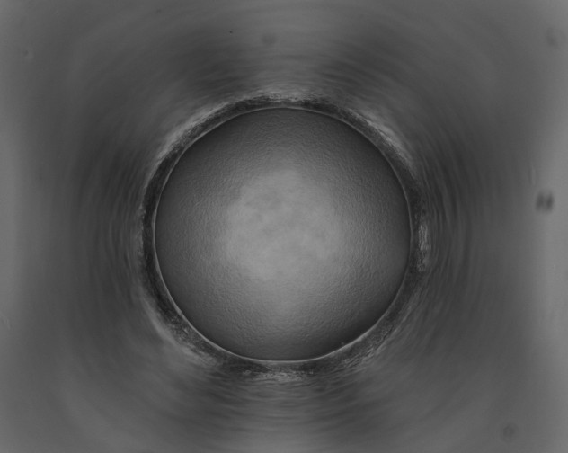 X0000090930492200708271047