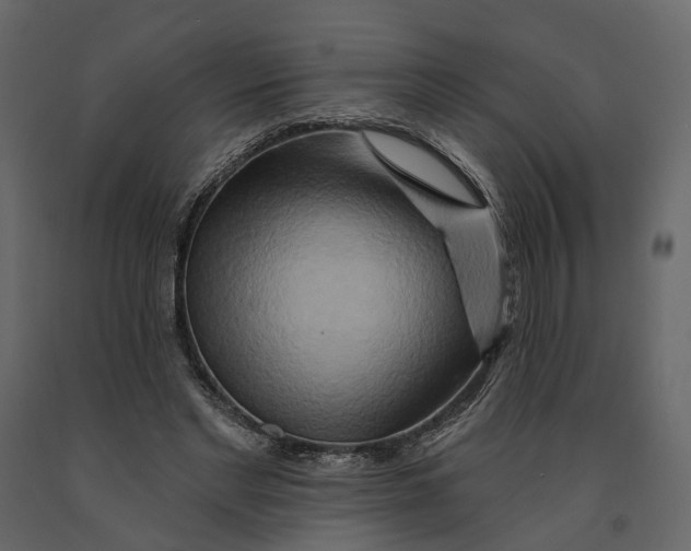 X0000090930493200708271047