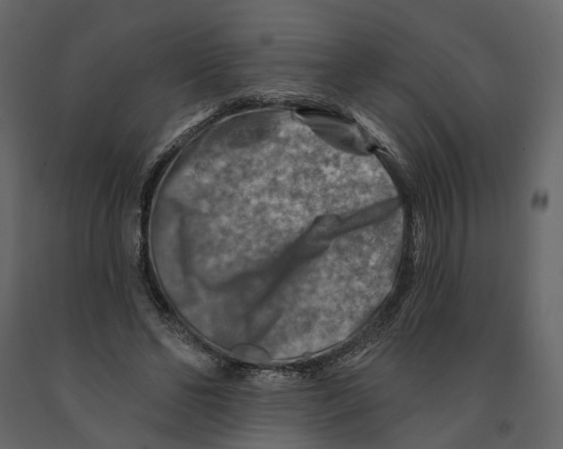 X0000090930494200708271047