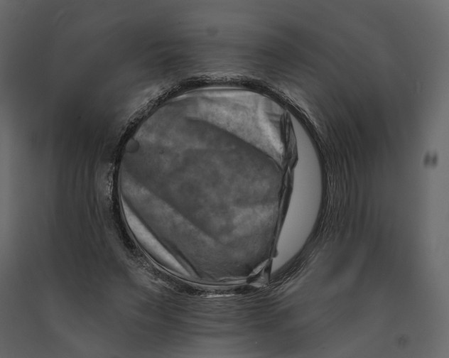 X0000090930495200708271047