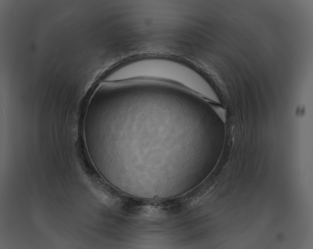 X0000090930496200708271047