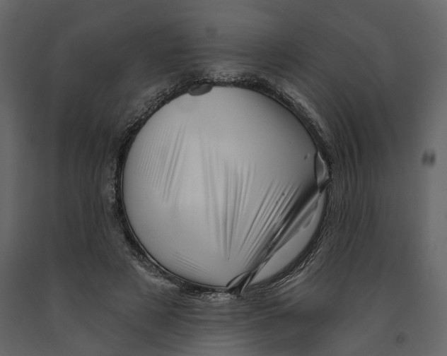 X0000090930497200708271047