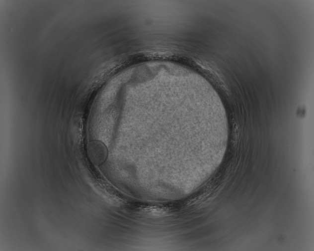 X0000090930498200708271047