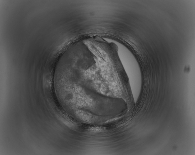 X0000090930499200708271047